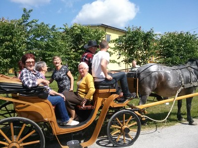 Miniony tydzień w WIGORZE