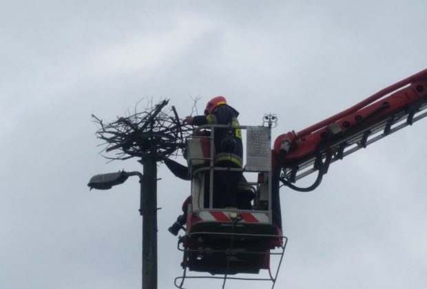 Strażacy na pomoc bocianom