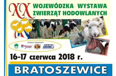 XX Wojewódzka Wystawa Zwierząt Hodowlanych