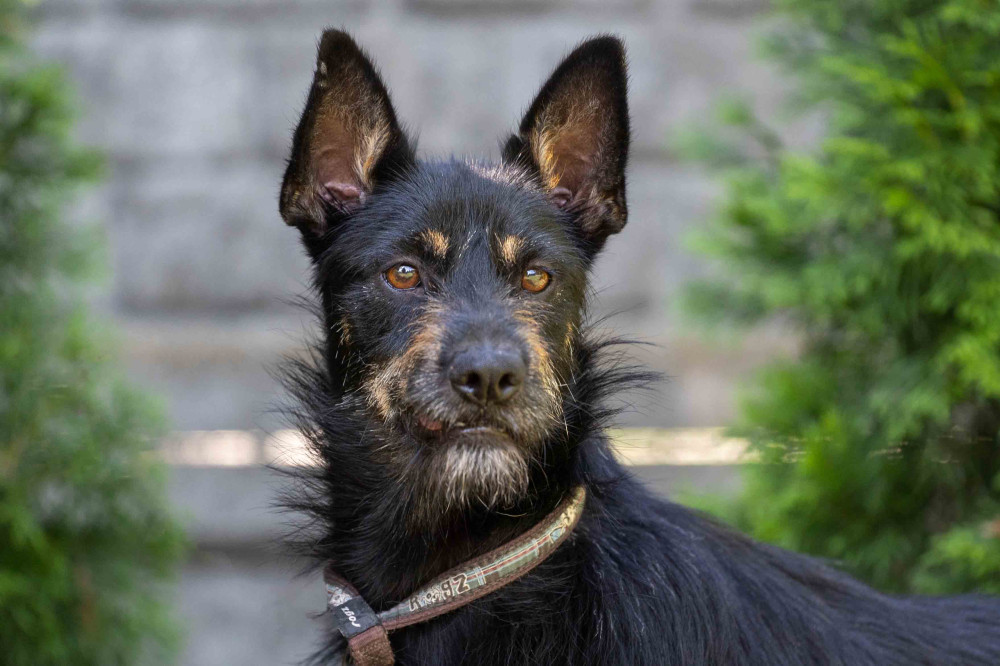 - 088925.jpg - 088925.jpg