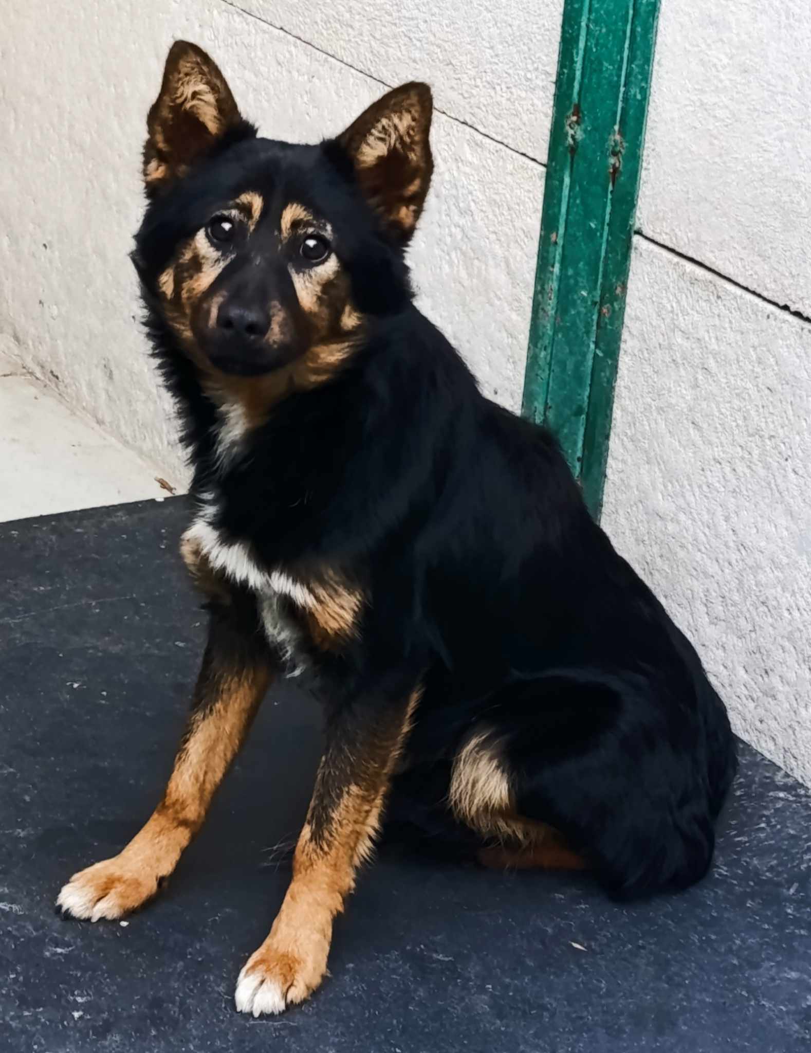 - 104375.jpg - 104375.jpg