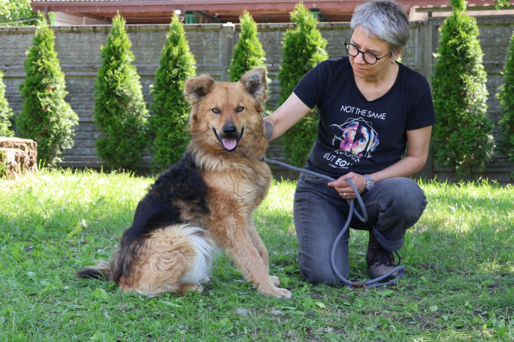 - 2525_6.jpg - 2525_6.jpg