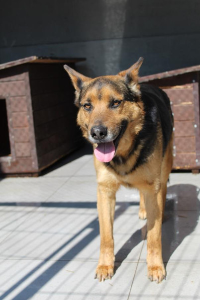 - 583490.jpg - 583490.jpg