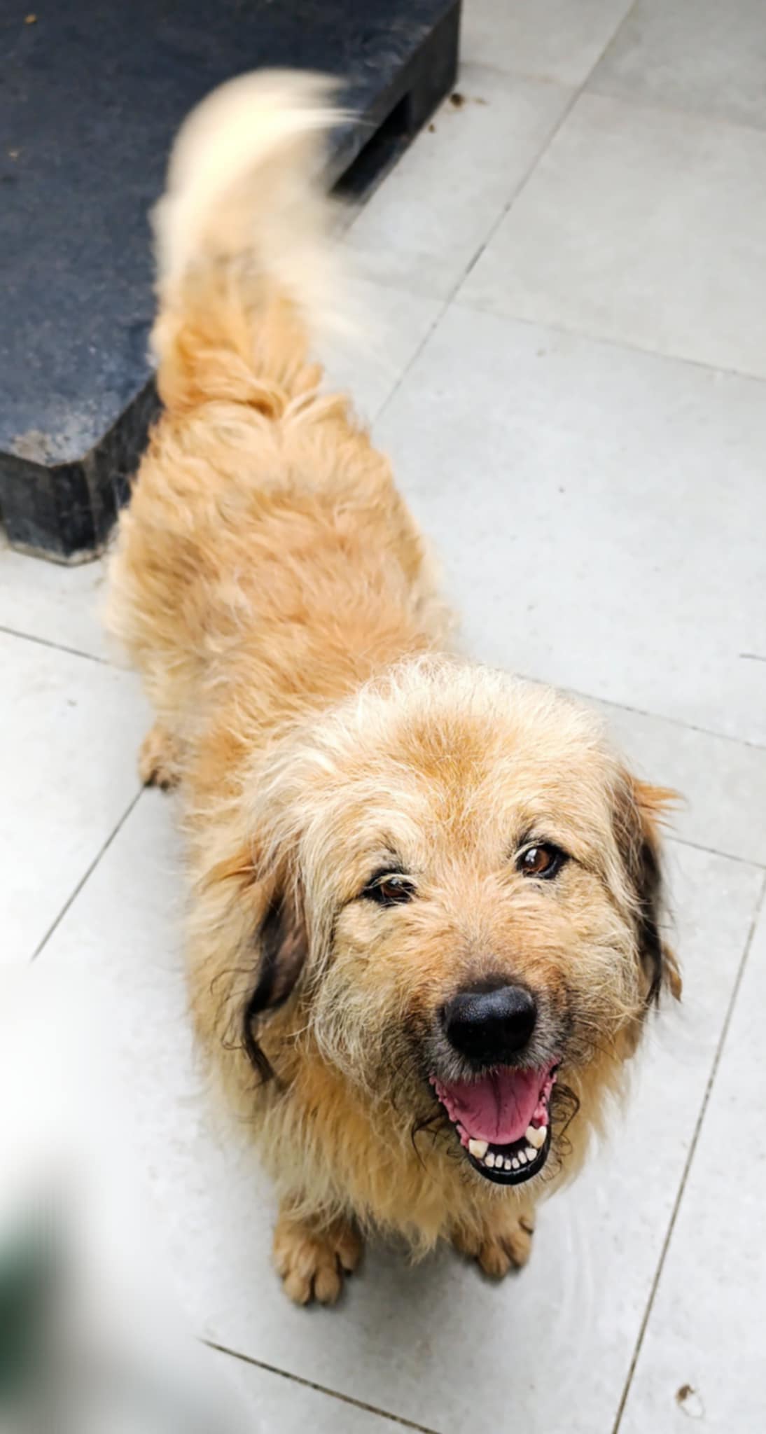 - gmina_bialaczow_oczyszczalnia_sciekow_101758__1_.jpg - gmina_bialaczow_oczyszczalnia_sciekow_101758__1_.jpg